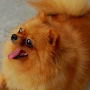 Ȯʲôɫÿ  ɫѡ